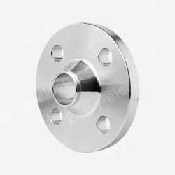 Companion Flange
