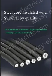 Steel core insulated wire 1KV*JKLGYJ-25/4