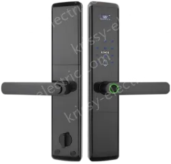 Smart door lock A81