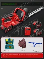 Brushless speed double-edged 15-cell 6.0Ah two batteries and one charge