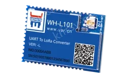 LoRa module