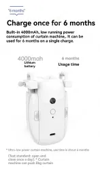 Roman pole single WiFi-01