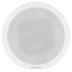 20W network ceiling speaker