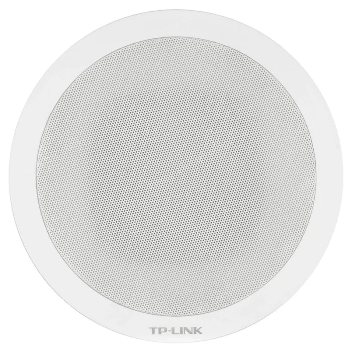 20W network ceiling speaker