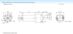 Planetary gear motor