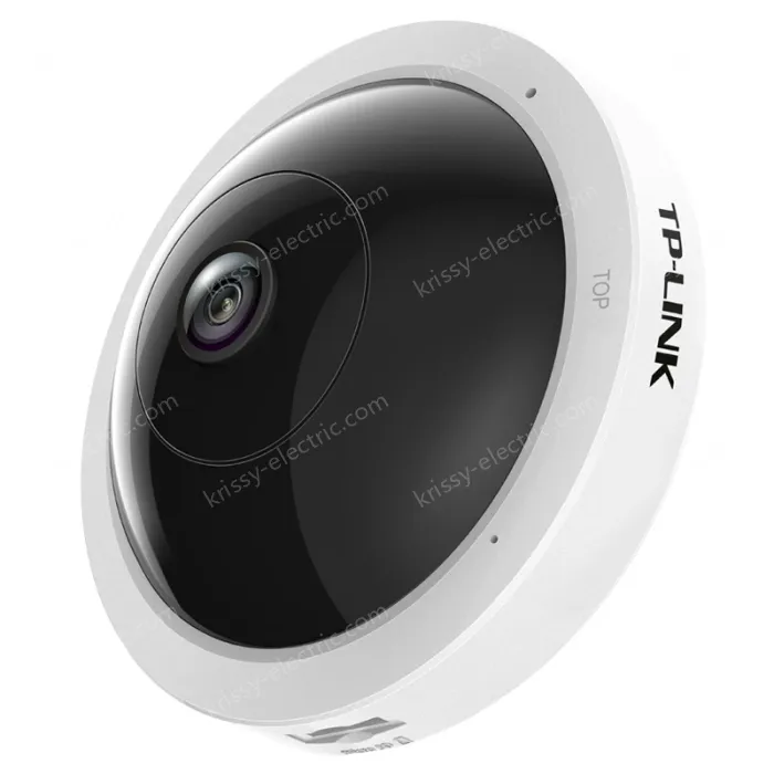 Panoramic wireless network camera