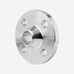 Companion Flange