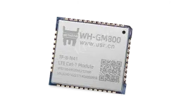 CAT1 MODULE