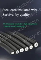Steel core insulated wire 1KV*JKLGYJ-70/10