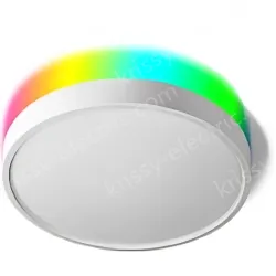 Smart lamps ZJ-BWBL-RGBWW-24W