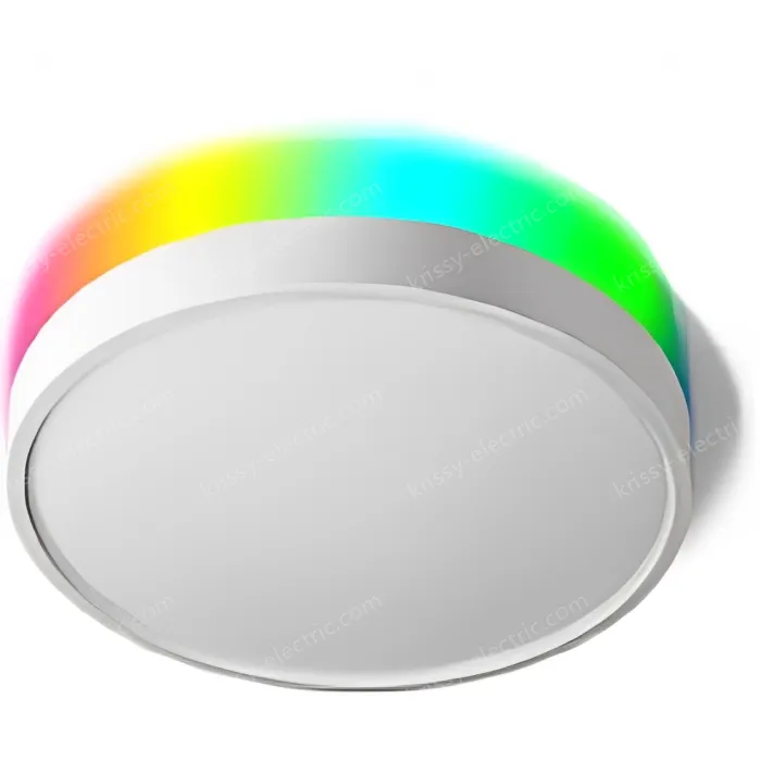 Smart lamps ZJ-BWBL-RGBWW-24W