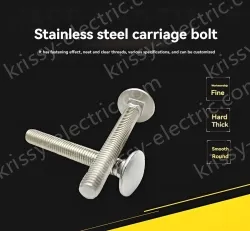 Big head carriage bolt M6*100